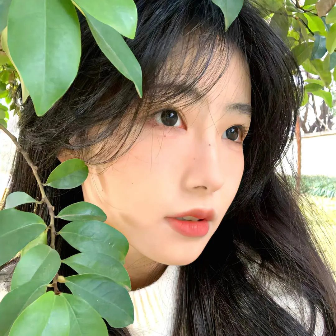 喂,看见耳朵啦!第一季